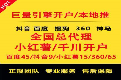 解析SEM推广代运营公司的成功案例及效果